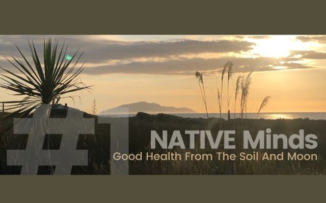 Native Minds: A series of interactive discussions